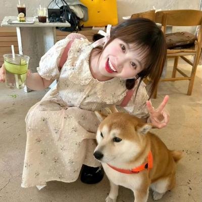 欢乐的欺骗